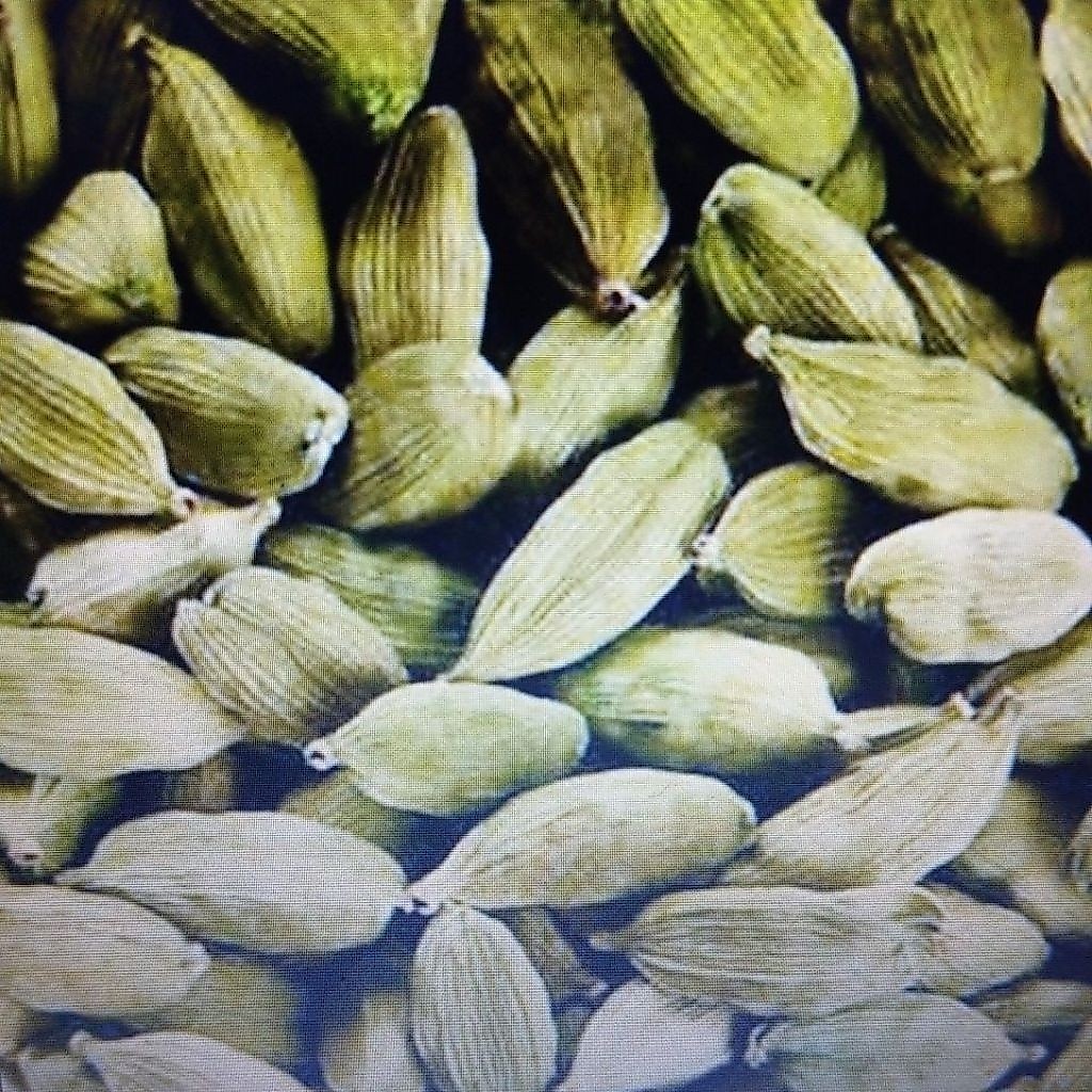Kapulaga India
