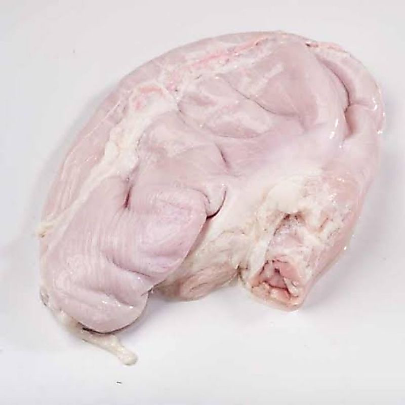 Tito / Perut Babi - Jeroan Babi - Daging Babi Organik