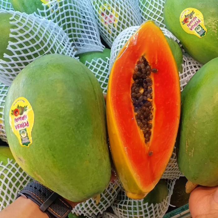 Buah pepaya hawai | pepaya hawai madu