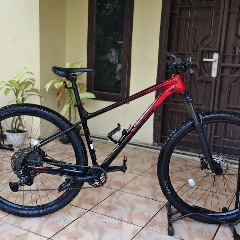 polygon xtrada 6 29 L