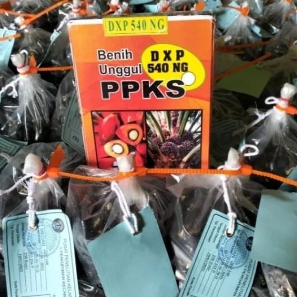 Bibit sawit unggul jaya PPKS 540 (ISI 150 BUTIR) PELEPAH PENDEK