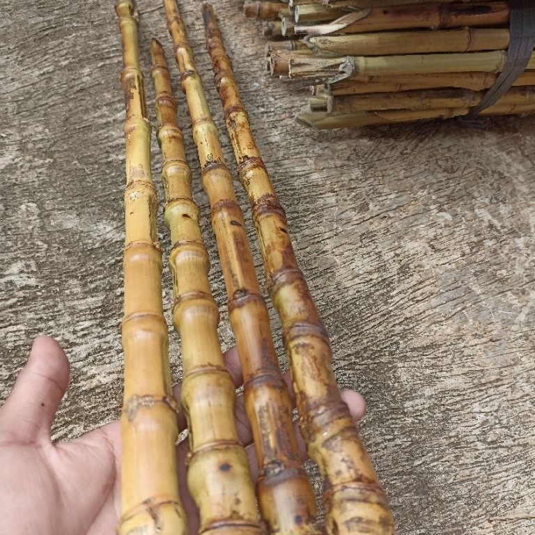 Gagang pancing bambu cendani panjang 55-60 cm
