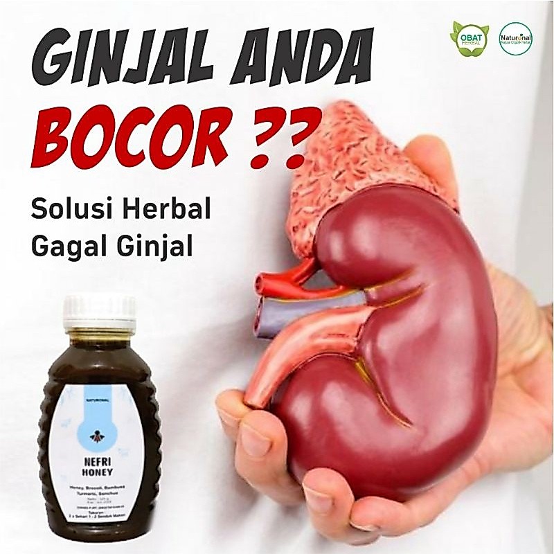 Nefri Honey / Madu Ginjal / Obat Herbal Ginjal/Herbal Gagal Ginjal