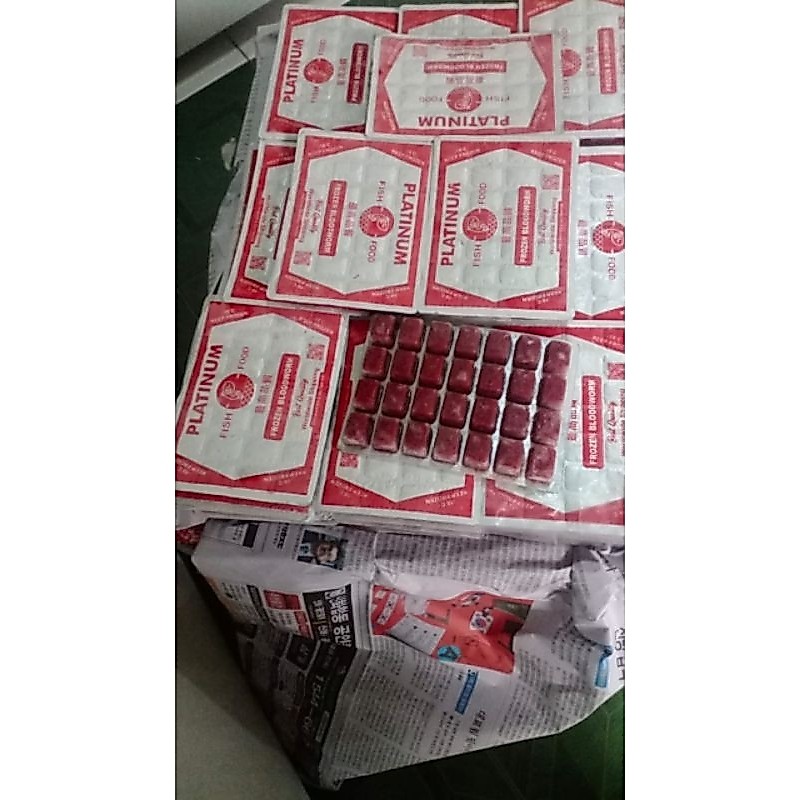 cacing beku  cabek platinum , cabek winner . malang khusus pengiriman instant