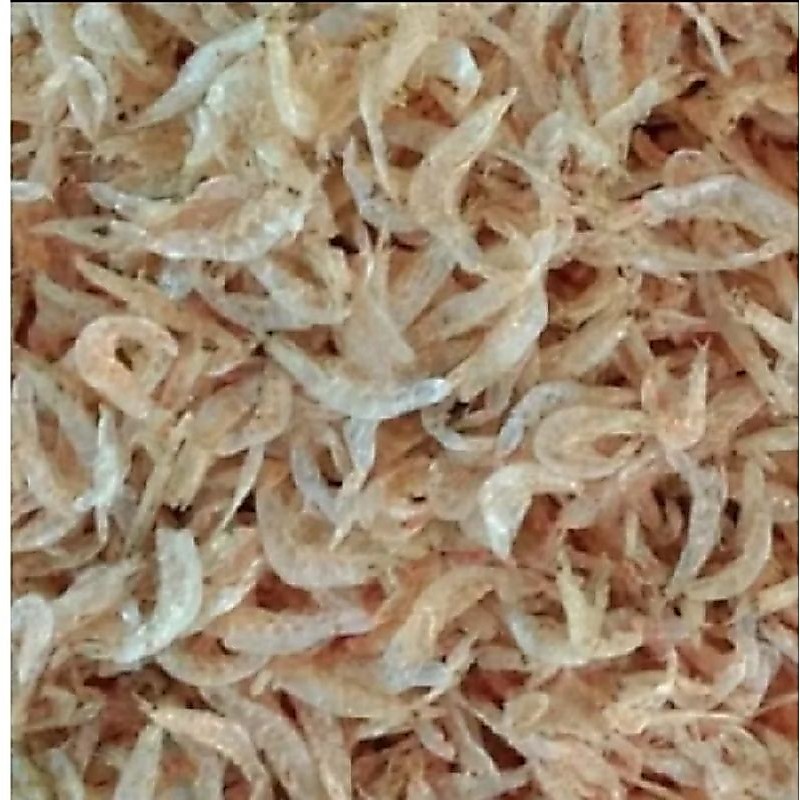 udang rebon/ udang kecepe/udang kering halus