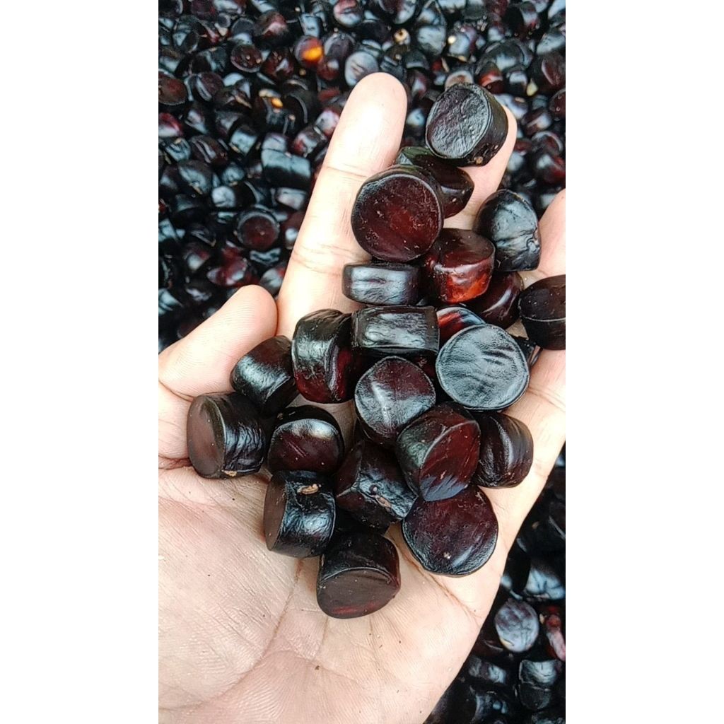jaling kabau super,jaling kabau lalapan crunchy/Renyah,jaling kabau Lampung Sumatra buah langka