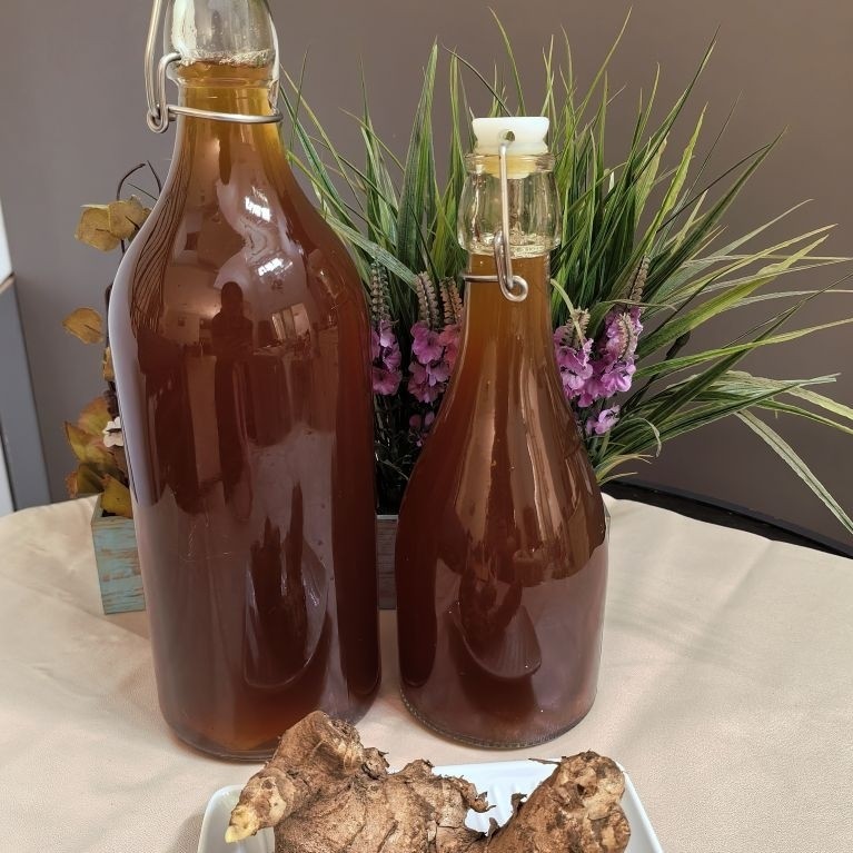 Minuman (Kombucha)  / Minuman Probiotik/ Minuman Kesehatan / Kombucha Kunyit Sereh / Kombucha Apple 