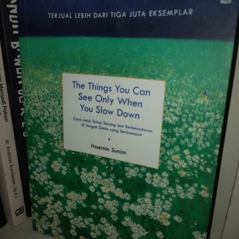Preloved Buku Novel dan Self Improvement Pasta Kacang Merah, The things you can see only when you sl