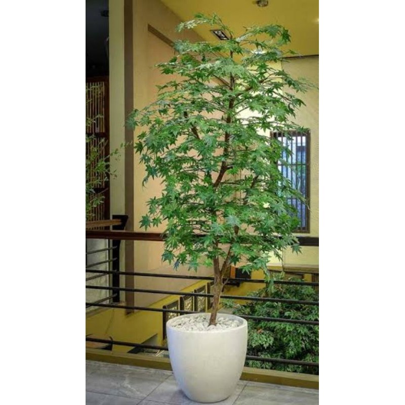 Pohon palsu artificial daun bintang pohon maple tinggi 2 meter