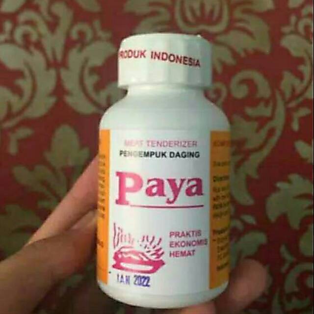 Paya pengempuk daging