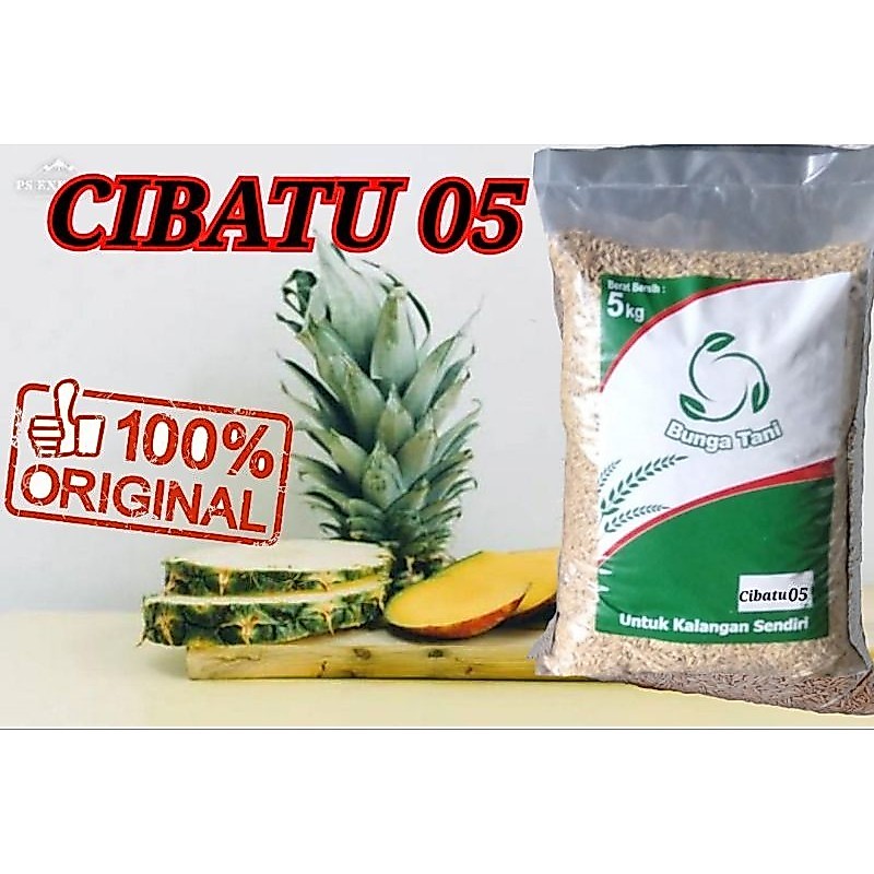 Benih padi Cibatu 05 unggul 5kg ori