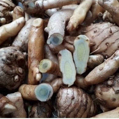 1kg kunyit hitam segar/temu ireng/temu hitam/kunyit hitam Bibit.Lokal.Alesha