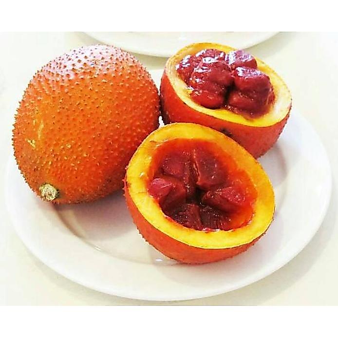 Benih / Bibit / Biji - GAC Fruit (Momordica cochinchinensis) - IMPORT murah
