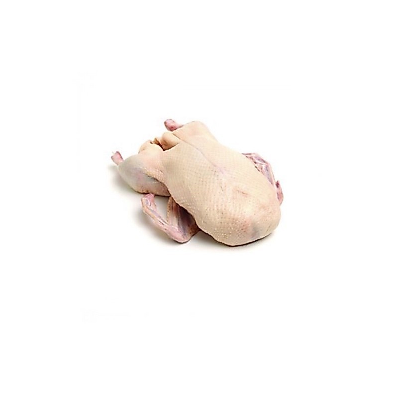 Daging Bebek (700-1kg) utuh
