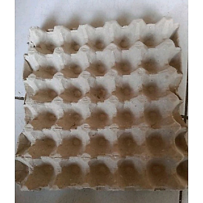 Egg tray bekas per lembar