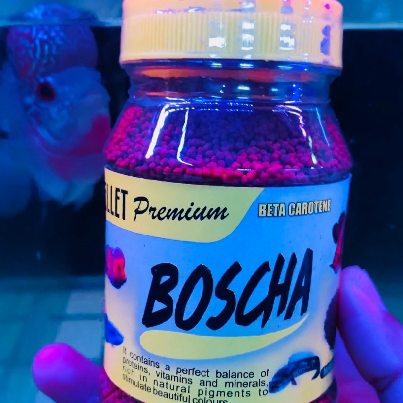 BOSCHA IKAN/ BOSCHA PREDATOR/ PELET BOSCHA/ MAGOT BOSCHA/UDANG BOSCHA/ PAKAN CHANNA / PELET PREMIUM 