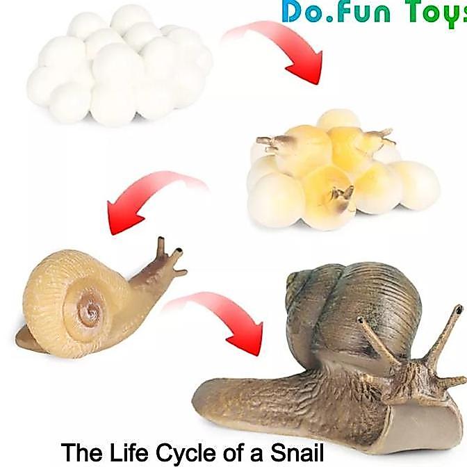 mainan - Animal Figure Life Cycle of a Snail / Siklus Hidup Binatang Bekicot Diskon