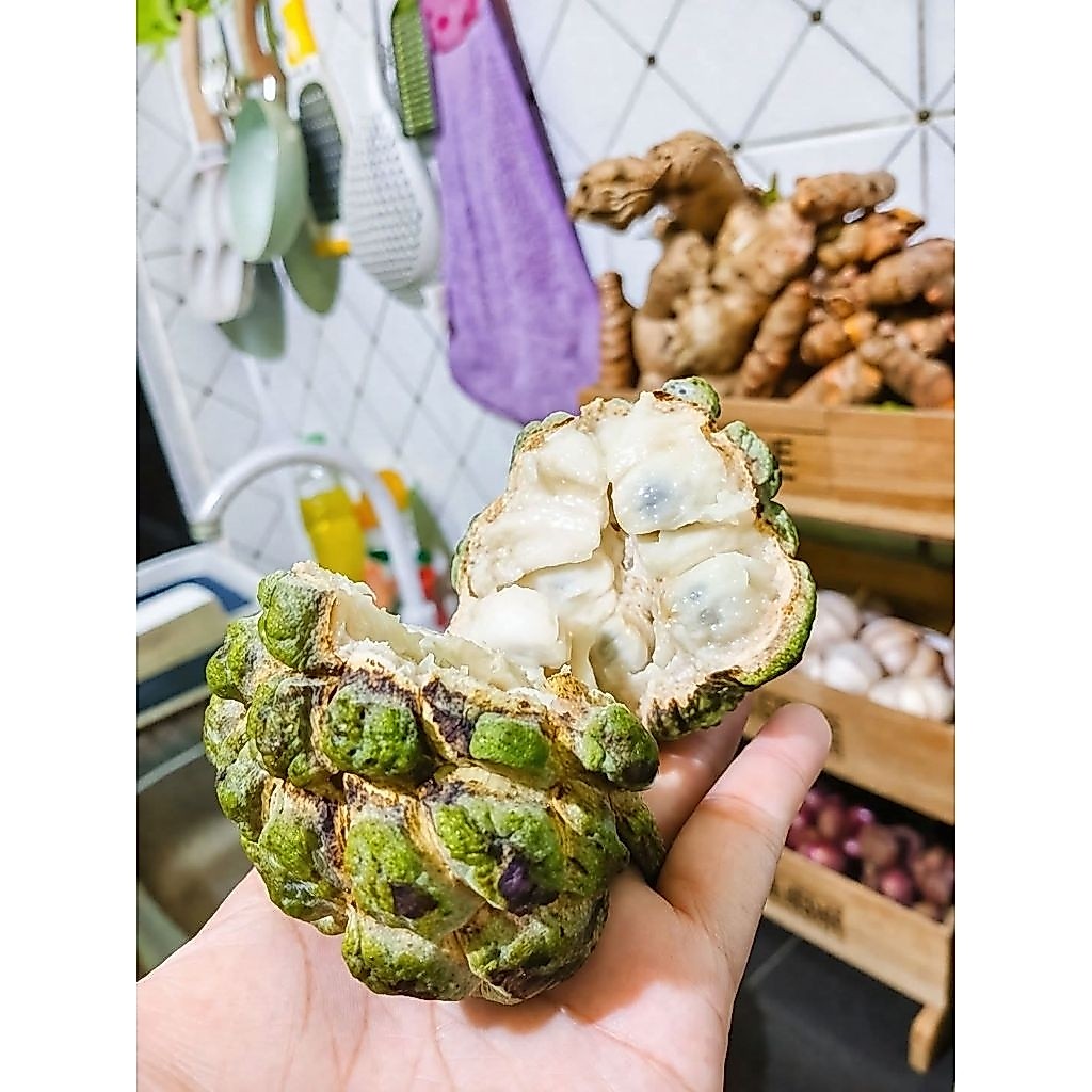 Buah srikaya jumbo,segar berkualitas,bersih