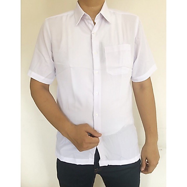 Kemeja Putih Lengan Pendek Felis Paolo / Ailupao