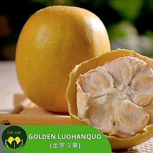 Lo Han Kuo Gold / Golden Lohankuo / Lohanquo emas premium