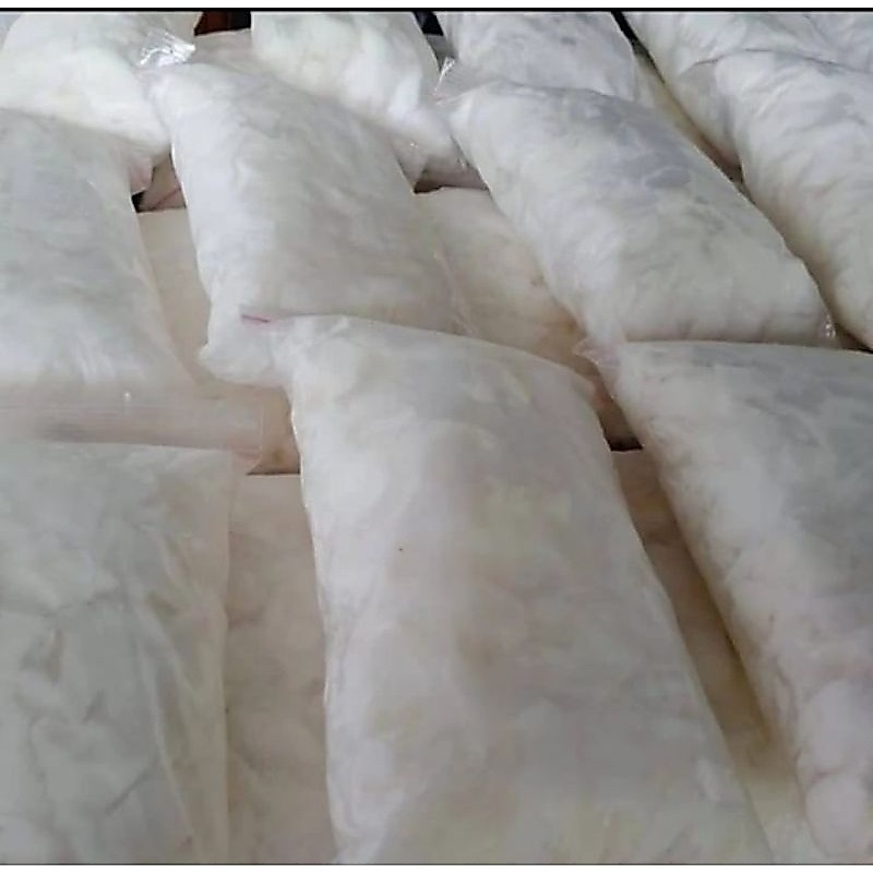 Daging Kelapa Muda