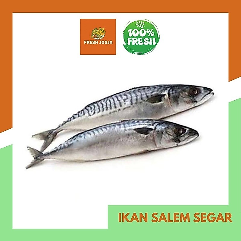 Ikan Salem Segar per 500gr | Fresh Jogja