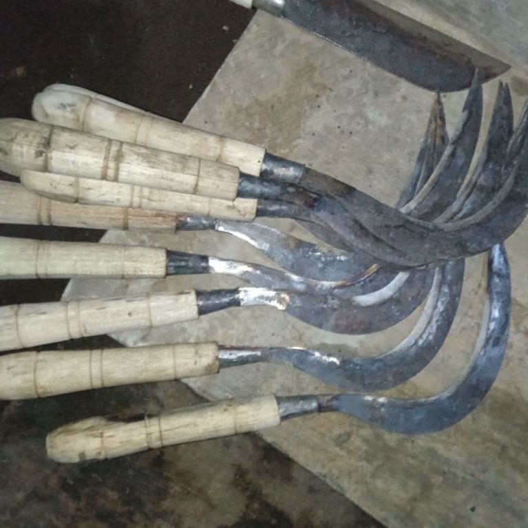 Arit anyih padi baja per asli Madura