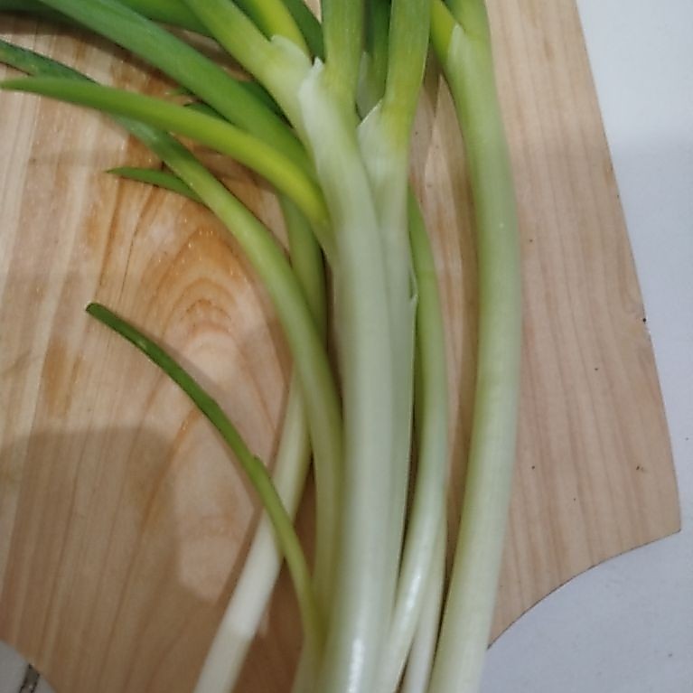 BAWANG PRE / DAUN BAWANG PREI