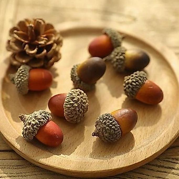 Acorn Fruit Ornament Photo Props Import-Biji buah Ek TERLARIS|BEST QUALITY|BEST SELLER