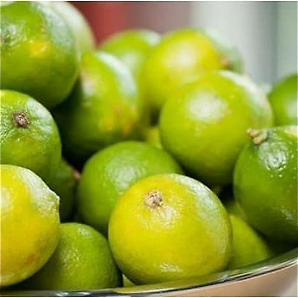 Jeruk Nipis 500 Gr