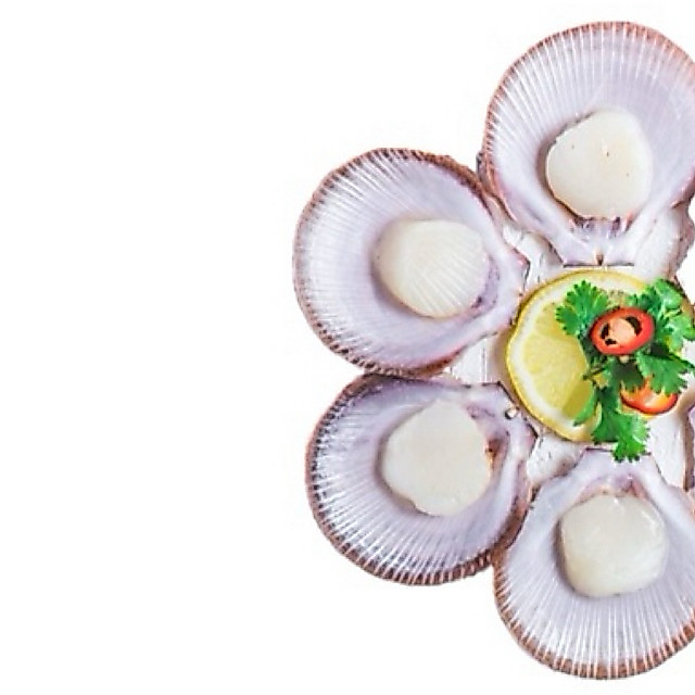 Scallop Lokal Half Shell / Kerang Simping Cangkang 500 gram