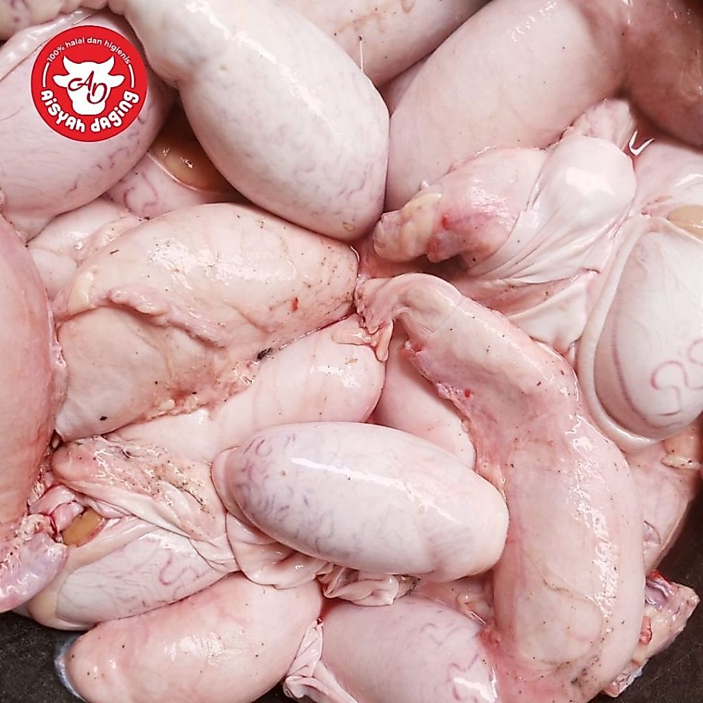 Biji Sapi/Torpedo Sapi 500 gram | Aisyah Daging