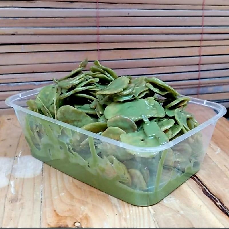 pisang coklat lumer rasa matcha 500gr khas lampung