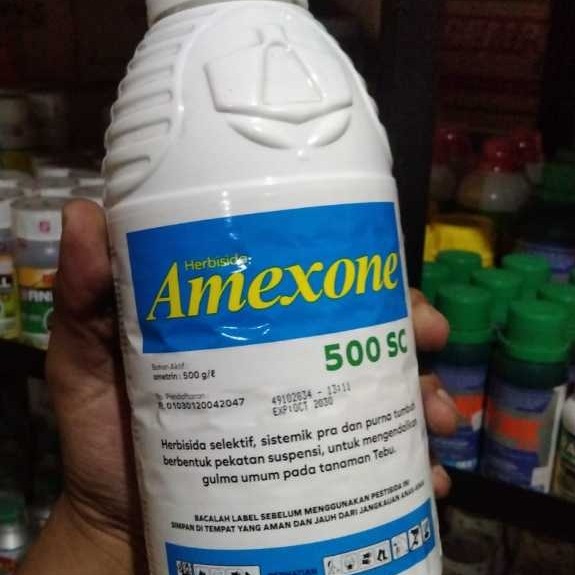 Amexone 500SC 1000ml - Herbisida Sistemik Selektif untuk Tebu, Jagung, Nanas, dan Padi