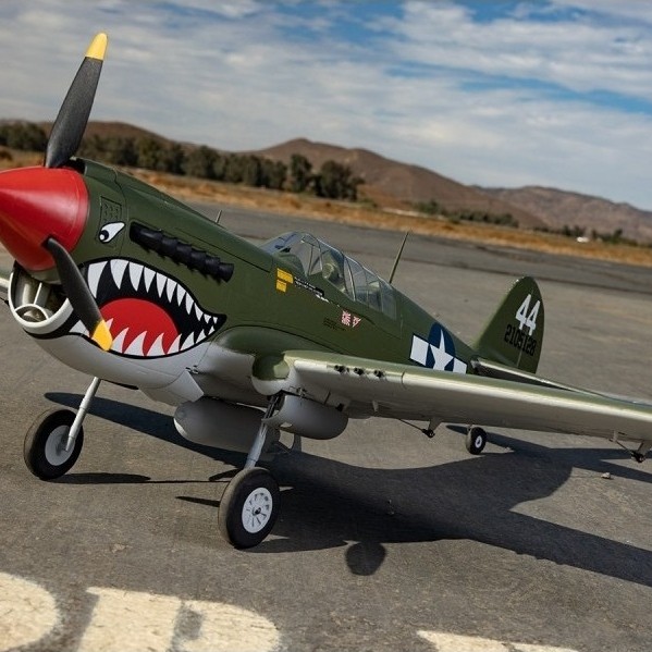 AF Model RC Warbird P-40 P40 Warhawk 1100mm Wingspan Propeller Plane