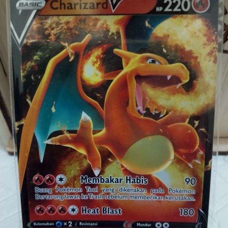 Pokemon Charizard V ind