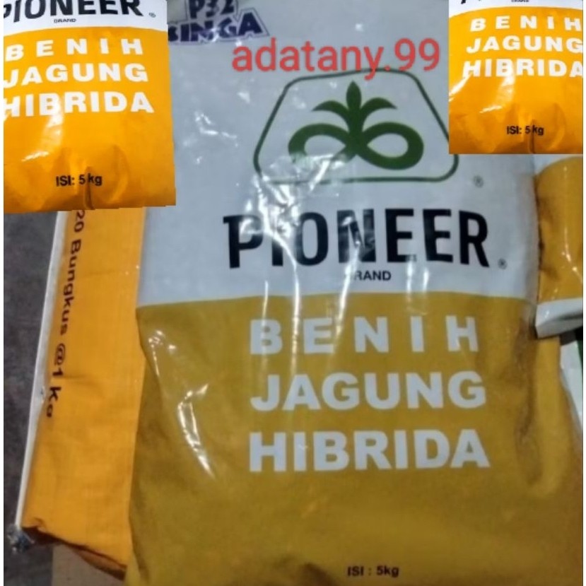 Benih jagung Pioneer P32 singa original 5kg
