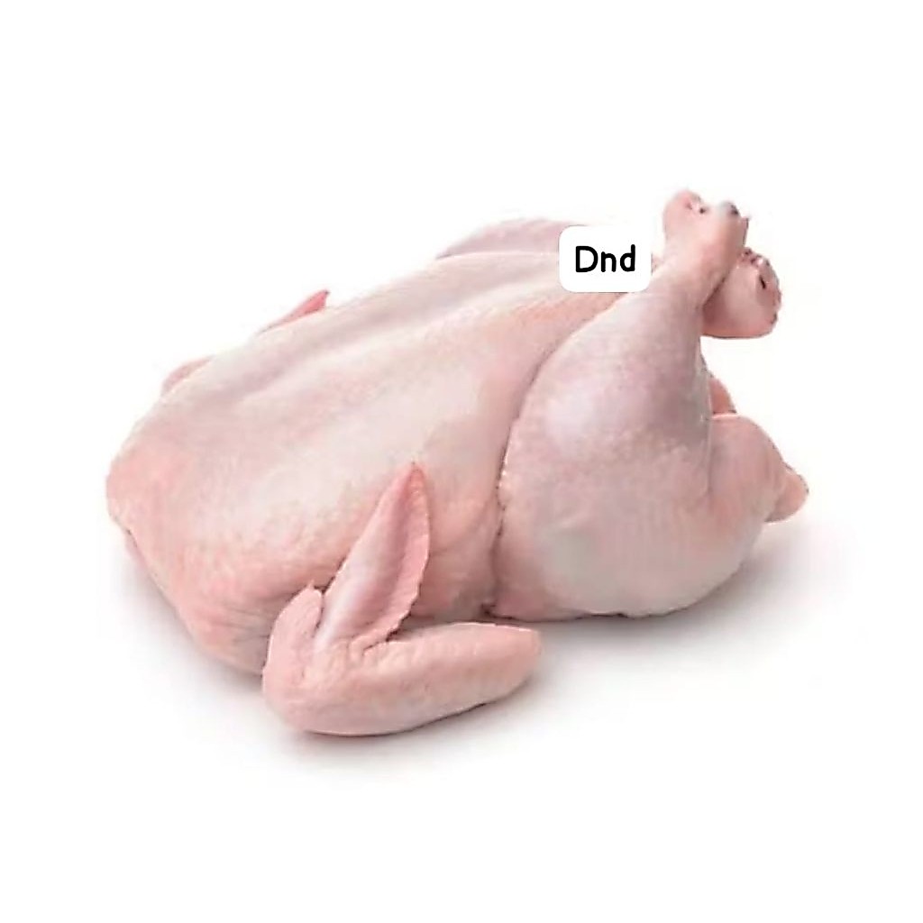 SREEYA AYAM KARKAS 0,5-0,6kg