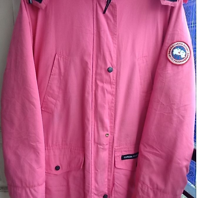 canada goose pink