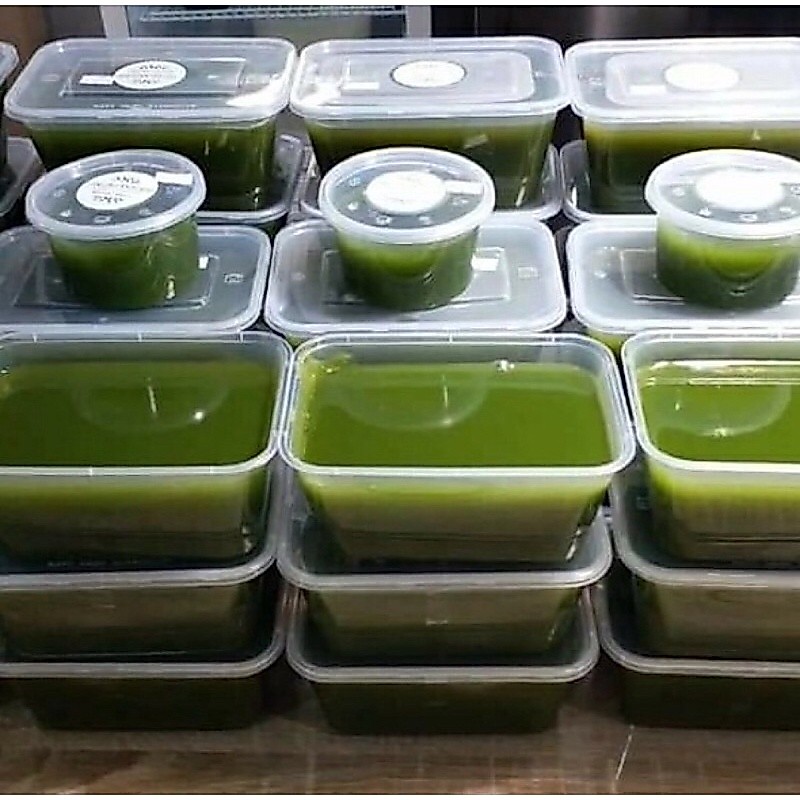 cincau hijau organik