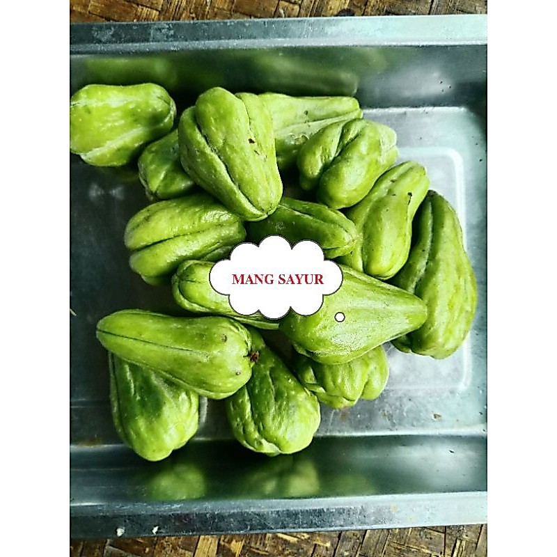 waluh kecil waluh siam lalap 500gr mang sayur