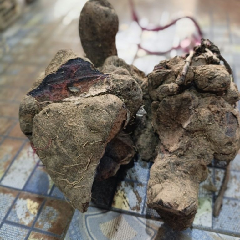 gadung beliin ,ubi ungu. 1kg