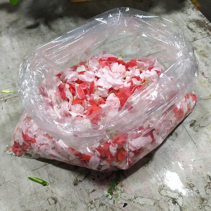 bunga tabur makam | bunga pihong