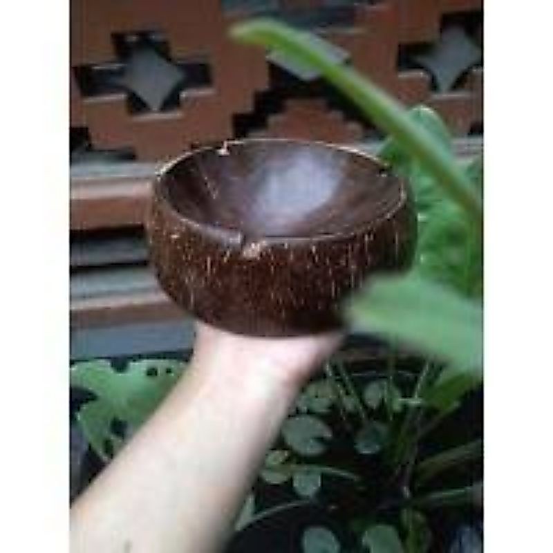 Asbak Unik Dari Batok Kelapa
