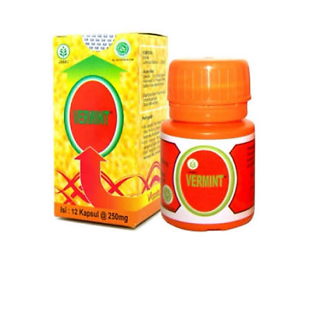 Vermint kapsul cacing (obat tipes)