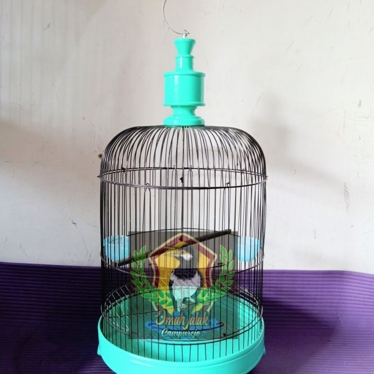 sangkar Minion tanggung tebok PVC polos fullset