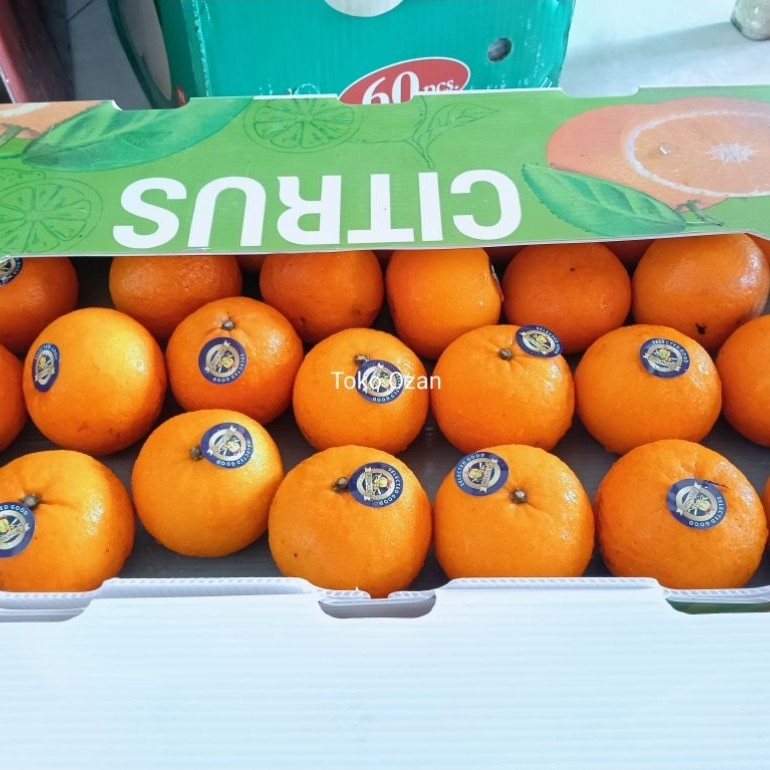 JERUK WOGAN MANDARIN 1KG