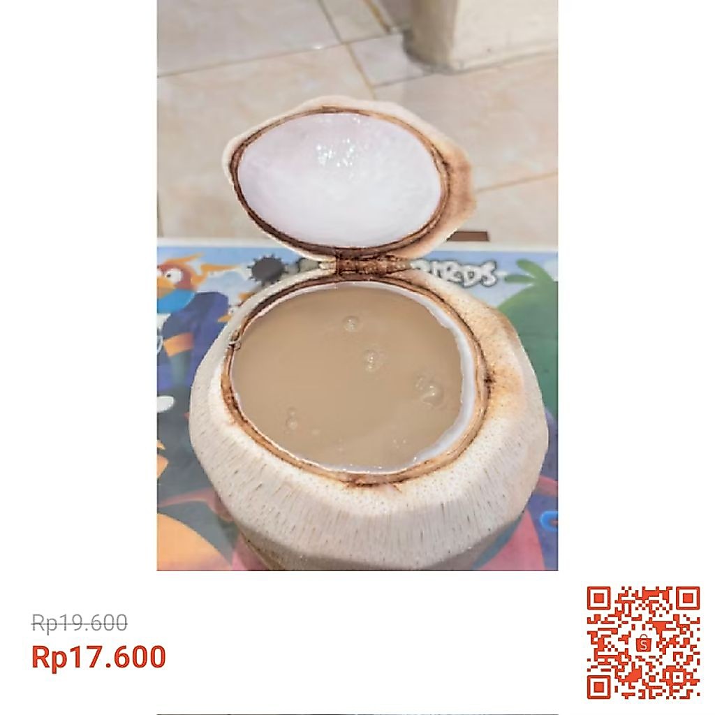 jelly coco kelapa muda