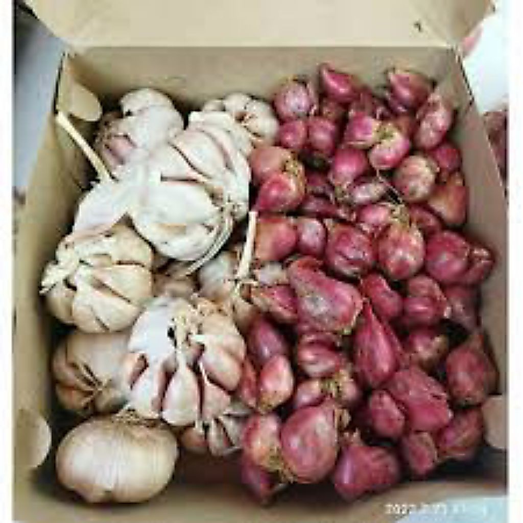 Paket Campur bawang merah 1Kg + Bawang putih 1Kg