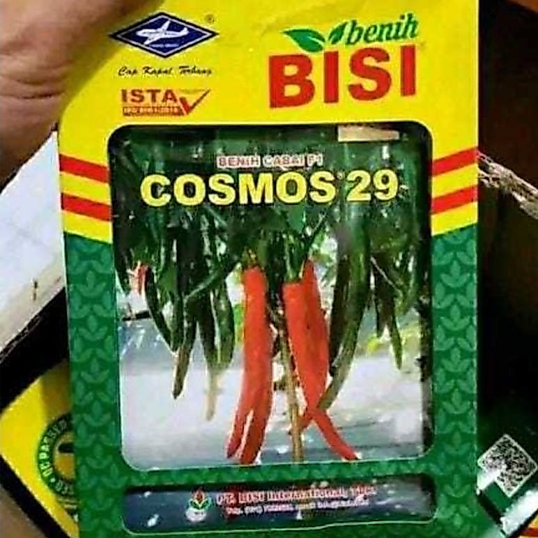 benih cabe besar cosmos29 f1/10 gram